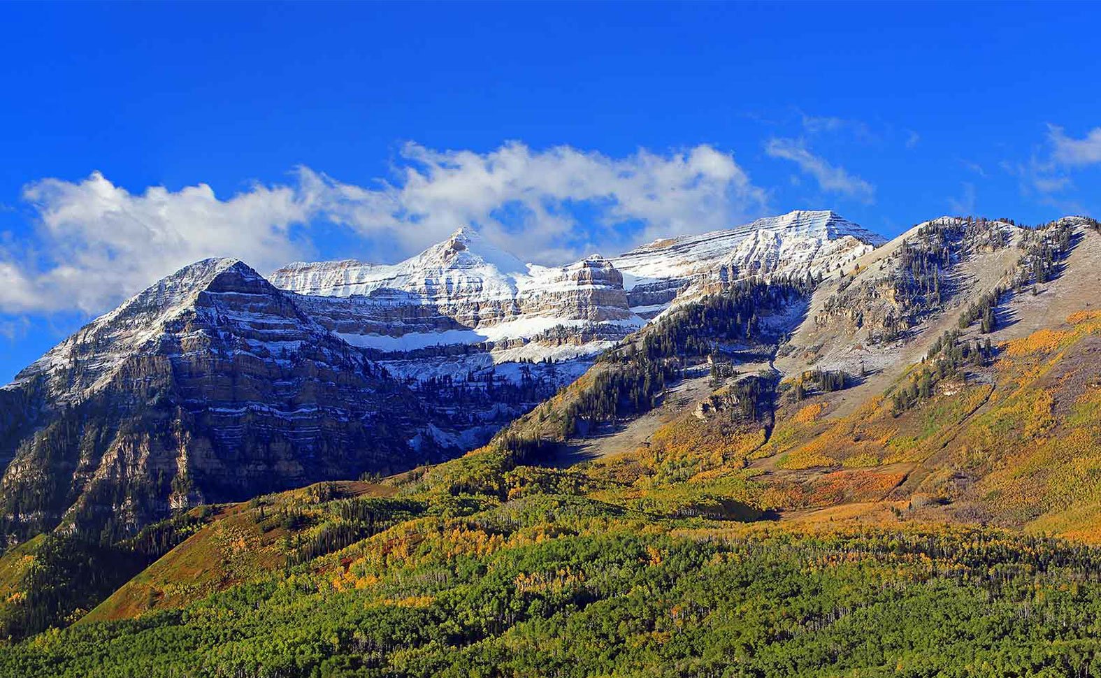 Want to Save $1000s on Your Mortgage